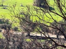 IMG_1271