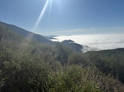 IMG_4249