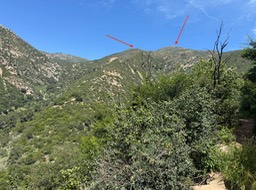 IMG_4283a