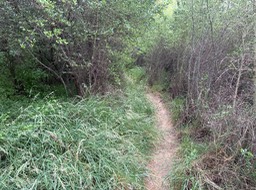 IMG_4300