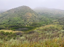 IMG_4302