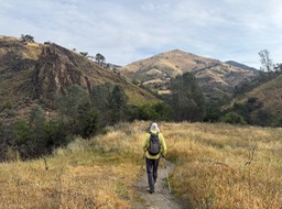 IMG_4378