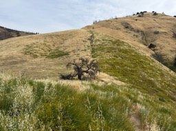 IMG_4395