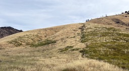 IMG_4397