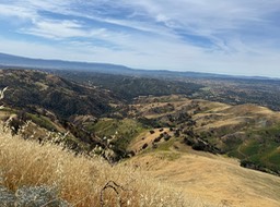 IMG_4401