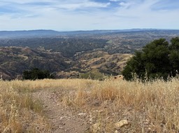 IMG_4407
