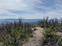 IMG_4414