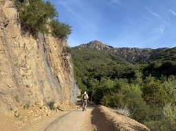 IMG_4461