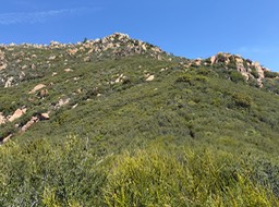 IMG_4473