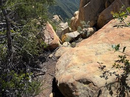 IMG_4477
