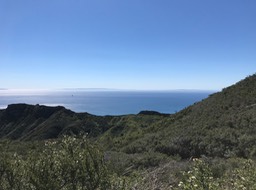 IMG_8172