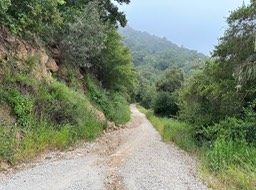 IMG_9732