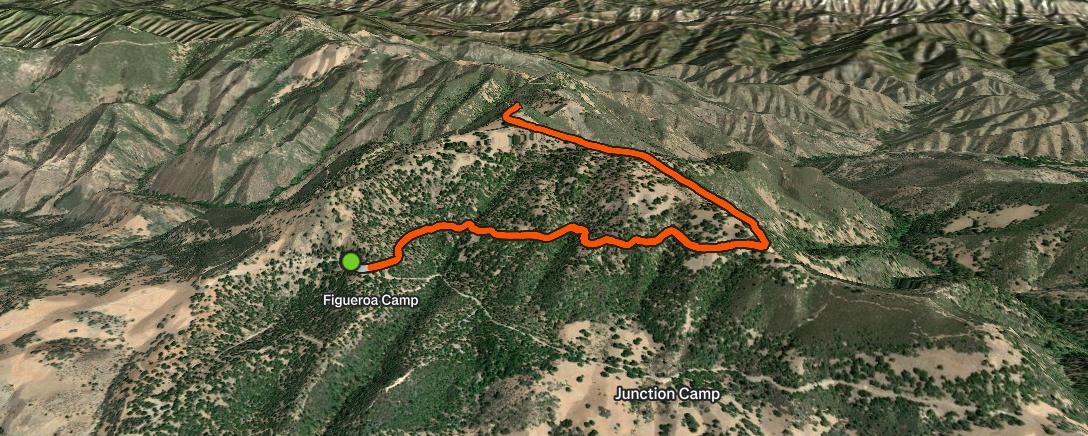 Strava view