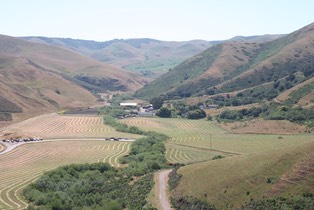 IMG 0659