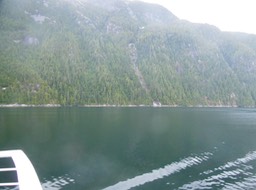 DSCN3161