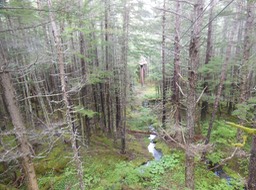DSCN3306
