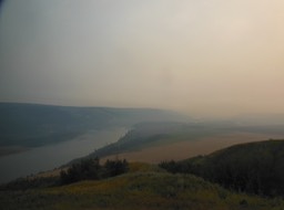 DSCN3461