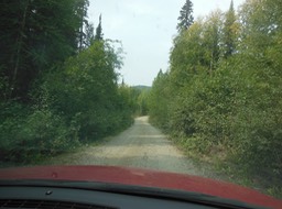 DSCN3467