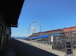 DSCN3539