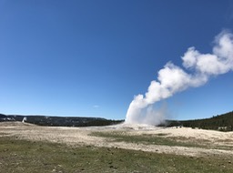 IMG_2617