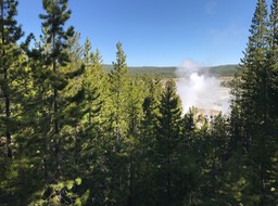 IMG_2666