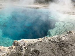 IMG_2771