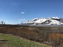 IMG_2784