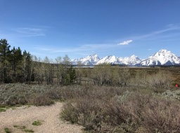 IMG_2789