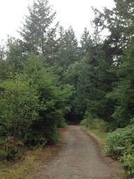 IMG_3013