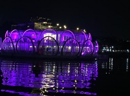 IMG_8266