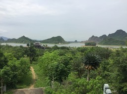 IMG_8416