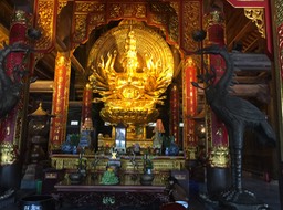 IMG_8435