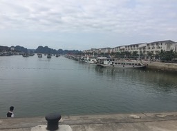 IMG_8516 2