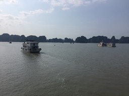 IMG_8529