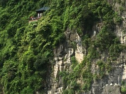 IMG_8540
