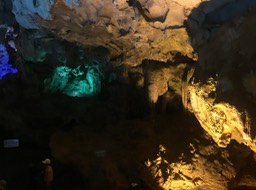 IMG_8553