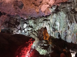 IMG_8573