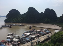 IMG_8582