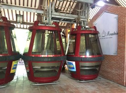 IMG_8635