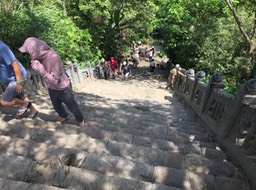 IMG_8672