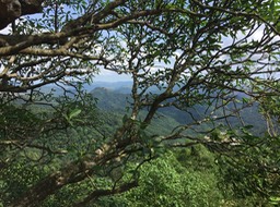 IMG_8693
