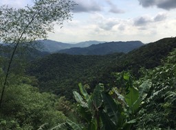 IMG_8701