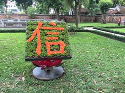 IMG_8819