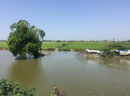 IMG_8868