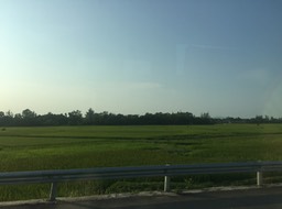 IMG_8882