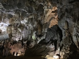 IMG_8972