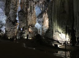 IMG_8981