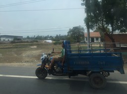 IMG_9465