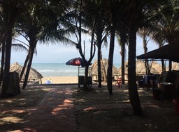 IMG_9595