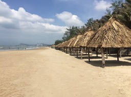 IMG_9599